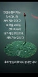 얼굴 - ‥‥공유 ♡ 좋은글 - 향기있는 좋은글 얼굴
