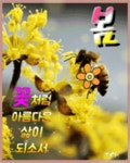 봄꽃과 음악회 - ‥‥공유 ♡ 좋은글 - 향기있는 좋은글 봄꽃과 음악회