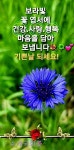 건강을 위한 5少12多 법칙 - ‥‥공유 ♡ 좋은글 - 향기있는 좋은글 건강을 위한 5少12多 법칙