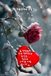 2026년엔 우리! 꽃길만 걸어요! - ‥‥공유 ♡ 좋은글 - 향기있는 좋은글 2026년엔 우리! 꽃길만 걸어요!