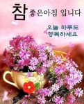 내 마음을 주고 싶은 친구 - ‥‥공유 ♡ 좋은글 - 향기있는 좋은글 내 마음을 주고 싶은 친구