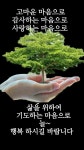 커피 향기로 여는 아침// 이미지 - ‥‥공유 ♡ 좋은글 - 향기있는 좋은글 커피 향기로 여는 아침// 이미지