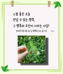 커피시인 윤보영의 시화로읽는 시 - ‥‥윤보영 ♡ 시인방 - 향기있는 좋은글 커피시인 윤보영의 시화로읽는 시