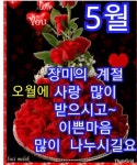 5월의 장미// 이미지 - ‥‥공유 ♡ 좋은글 - 향기있는 좋은글 5월의 장미// 이미지
