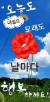 수요일 아침 행복편지 / 봄이 오면 나는 - 🔶️공유 글🔰나눔 - 💜산야와 한울타리💜 수요일 아침 행복편지 / 봄이 오면 나는