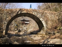 선암사 가는길에 - ‥‥향기 ♡ 카페 앨범 - 향기있는 좋은글 향기있는 좋은글