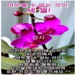 苦難 속에서도 希望을 가진 사람은..../ 이미지 - ‥‥공유 ♡ 좋은글 - 향기있는 좋은글 苦難 속에서도 希望을 가진 사람은..../ 이미지