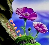 인생에도 봄은 오겠지 - ‥‥공유 ♡ 좋은글 - 향기있는 좋은글 인생에도 봄은 오겠지