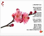 매화 한태주/물놀이 - ‥‥공유 ♡ 좋은글 - 향기있는 좋은글 매화 한태주/물놀이