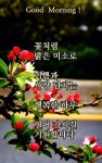 좋은말씀 / 예쁜카톡이미지 - ‥‥ⓔ미지 ♡ 자료실 - 향기있는 좋은글 향기있는 좋은글