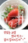 아름다운 당신의 향기 - ‥‥영상 ♡ 좋은글 - 향기있는 좋은글 아름다운 당신의 향기