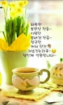 차 한잔 마시며 뒤돌아보는 시간 - ‥‥공유 ♡ 좋은글 - 향기있는 좋은글 차 한잔 마시며 뒤돌아보는 시간