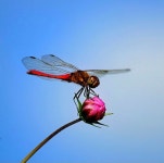 친구야 ! - ‥‥공유 ♡ 좋은글 - 향기있는 좋은글 친구야 !