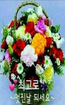 세상에서 가장...../ 이미지 - ‥‥공유 ♡ 좋은글 - 향기있는 좋은글 세상에서 가장...../ 이미지