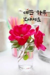 행복이란 꽃길  - ‥‥향기 ♡ 좋은글 - 향기있는 좋은글 행복이란 꽃길 