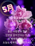 금요일 아침편지 / 인생에 오월이 오면 - 🔶️공유 글🔰나눔 - 💜산야와 한울타리💜 금요일 아침편지 / 인생에 오월이 오면