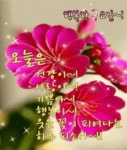 금요일 아침편지 / 주어진 오늘을 사랑하고 - 🔶️공유 글🔰나눔 - 💜산야와 한울타리💜 금요일 아침편지 / 주어진 오늘을 사랑하고