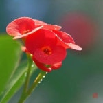 멋진 하루를 당신이 그려가세요 - ‥‥공유 ♡ 좋은글 - 향기있는 좋은글 멋진 하루를 당신이 그려가세요