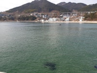 거제장목흥남부두가던날에 - ‥‥등산 ♡ 풍경 사진 - 향기있는 좋은글 향기있는 좋은글