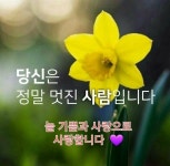 어느 어머니가 아들에게 쓰는 인생편// 이미지 - ‥‥공유 ♡ 좋은글 - 향기있는 좋은글 어느 어머니가 아들에게 쓰는 인생편// 이미지