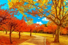 경주 불국사 일원 가을 단풍 명소 소개 합니다 - ‥‥사진 ♡ 작가방 - 향기있는 좋은글 경주 불국사 일원 가을 단풍 명소 소개 합니다