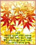 가을이 가네 - ‥‥공유 ♡ 좋은글 - 향기있는 좋은글 가을이 가네