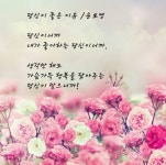 커피시인 윤보영의 시화로 읽는 시 - ‥‥윤보영 ♡ 시인방 - 향기있는 좋은글 커피시인 윤보영의 시화로 읽는 시