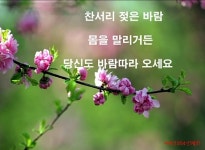 봄이 오면 당신도 오세요.* - ‥‥향기 ♡ 좋은글 - 향기있는 좋은글 봄이 오면 당신도 오세요.*