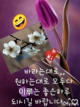 소중한 사랑을의한 기도 - ‥‥영상 ♡ 좋은글 - 향기있는 좋은글 소중한 사랑을의한 기도