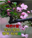 행복한 3월을 위해/ 이미지 - ‥‥공유 ♡ 좋은글 - 향기있는 좋은글 행복한 3월을 위해/ 이미지