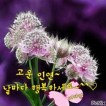 당신과의 고운 인연을 위하여 - ‥‥공유 ♡ 좋은글 - 향기있는 좋은글 당신과의 고운 인연을 위하여