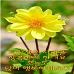 오월의 향기// 이미지 - ‥‥공유 ♡ 좋은글 - 향기있는 좋은글 오월의 향기// 이미지