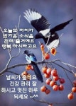 建康을 위해 근심을 버려라/이미지7 - ‥‥공유 ♡ 좋은글 - 향기있는 좋은글 建康을 위해 근심을 버려라/이미지7