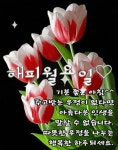 월요일 아침 문안편지! 이 아침의 행복을 그대에게 / 이미지(동영상) - 🔶️공유 글🔰나눔 - 💜산야와 한울타리💜 월요일 아침 문안편지! 