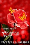 수요일 사랑편지 - ‥‥공유 ♡ 좋은글 - 향기있는 좋은글 수요일 사랑편지