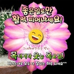 목요일 아침 2월은 계절의 징검다리 - 🔶️공유 글🔰나눔 - 💜산야와 한울타리💜 목요일 아침 2월은 계절의 징검다리