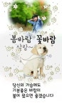 매일 같은 길은 아니었습다/ 이미지 - ‥‥공유 ♡ 좋은글 - 향기있는 좋은글 매일 같은 길은 아니었습다/ 이미지