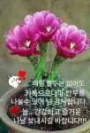 금요일 아침편지! 마음의 여유 / 이미지(동영상) - 🔶️공유 글🔰나눔 - 💜산야와 한울타리💜 금요일 아침편지! 