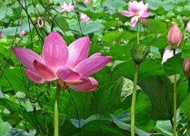 오늘이 가장 기쁜날이 되게 하소서 - ‥‥공유 ♡ 좋은글 - 향기있는 좋은글 오늘이 가장 기쁜날이 되게 하소서