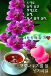 인생의 짐 - ‥‥공유 ♡ 좋은글 - 향기있는 좋은글 인생의 짐
