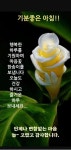 내 주위의 모든 사람들은 보물 - ‥‥공유 ♡ 좋은글 - 향기있는 좋은글 내 주위의 모든 사람들은 보물