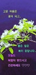 하루의 행복 - ‥‥공유 ♡ 좋은글 - 향기있는 좋은글 하루의 행복