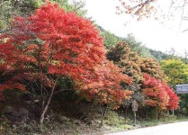 세가지 산수덕담 - ‥‥향기 ♡ 좋은글 - 향기있는 좋은글 세가지 산수덕담