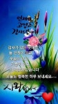 먼저웃고 사랑하고 감사하자 - ‥‥공유 ♡ 좋은글 - 향기있는 좋은글 먼저웃고 사랑하고 감사하자