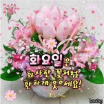 좋은 사람 좋은 만남/ 이미지 - ‥‥공유 ♡ 좋은글 - 향기있는 좋은글 좋은 사람 좋은 만남/ 이미지