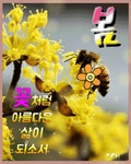 희망의 씨를 뿌리는 거야 - ‥‥공유 ♡ 좋은글 - 향기있는 좋은글 희망의 씨를 뿌리는 거야