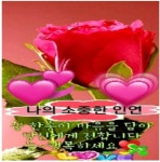 5월의 장미// 이미지 - ‥‥공유 ♡ 좋은글 - 향기있는 좋은글 5월의 장미// 이미지