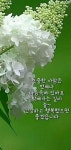 월요일 아침 편지 지금이 참 좋다 ~ - ‥‥공유 ♡ 좋은글 - 향기있는 좋은글 월요일 아침 편지 지금이 참 좋다 ~