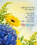 토요일! 새봄맞이 천년의 행운을 당신께 전합니다 / 행복한 봄맞이 행운선물! (우수) - 🔶️공유 글🔰나눔 - 💜산야와 한울타리💜 토요일!...
