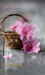수요일 아침편지 행운의클로버를 당신에게 - ‥‥공유 ♡ 좋은글 - 향기있는 좋은글 수요일 아침편지 행운의클로버를 당신에게
